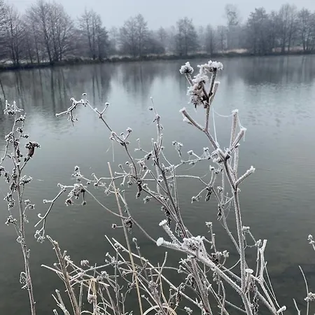 公寓 Le Goeland 滨海维莱