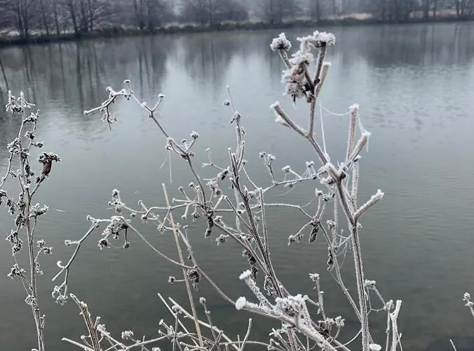 아파트 Le Goeland 빌레쉬르메르