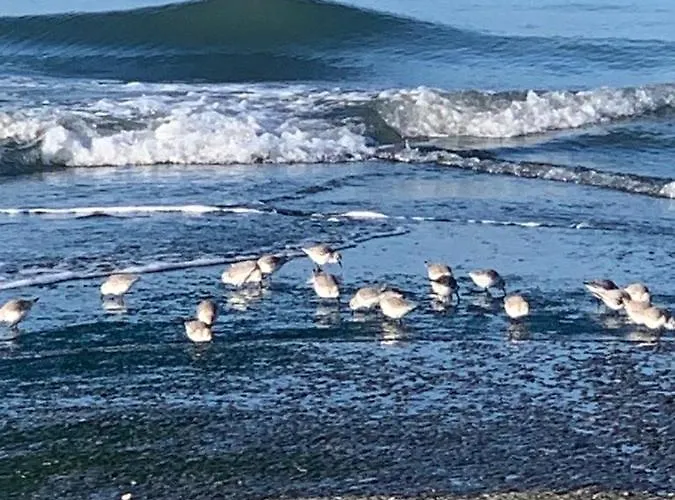 아파트 Le Goeland